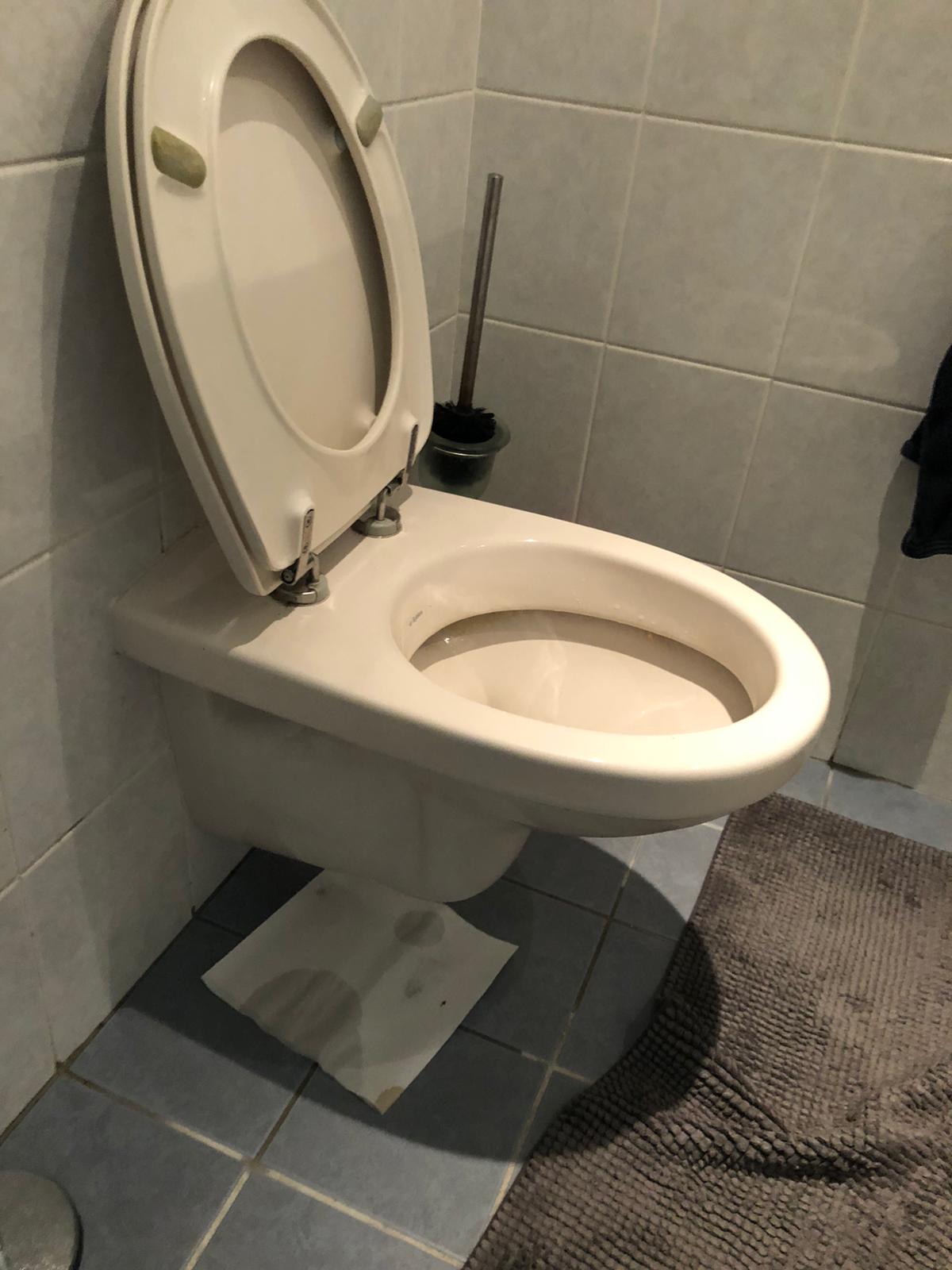 hangtoilet Lunteren